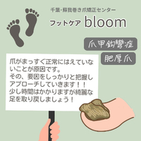 画像303